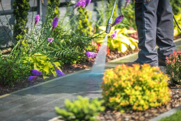 Best Winterizing Services  in Sebring, FL
