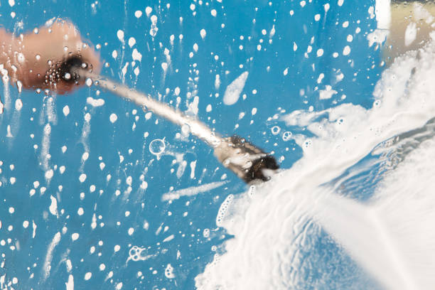 Best Animal Enclosure Cleaning  in Sebring, FL